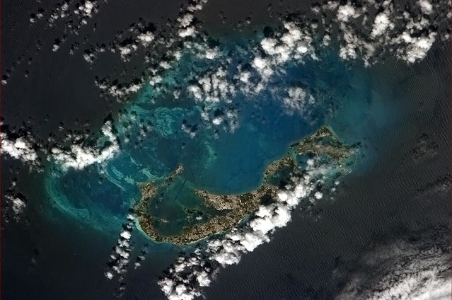 what data needs to be opened up to tackle tax havens